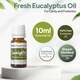 image 3 of Eucalyptus Essential Oil - 2x10ml bottles