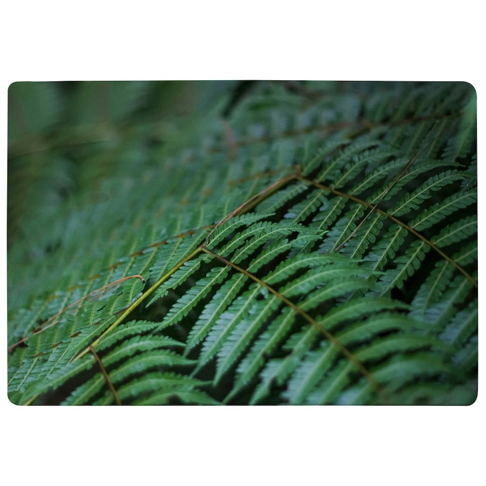 image 1 of grren leaves pattern and texture at Indonesia (Rug) Green | S