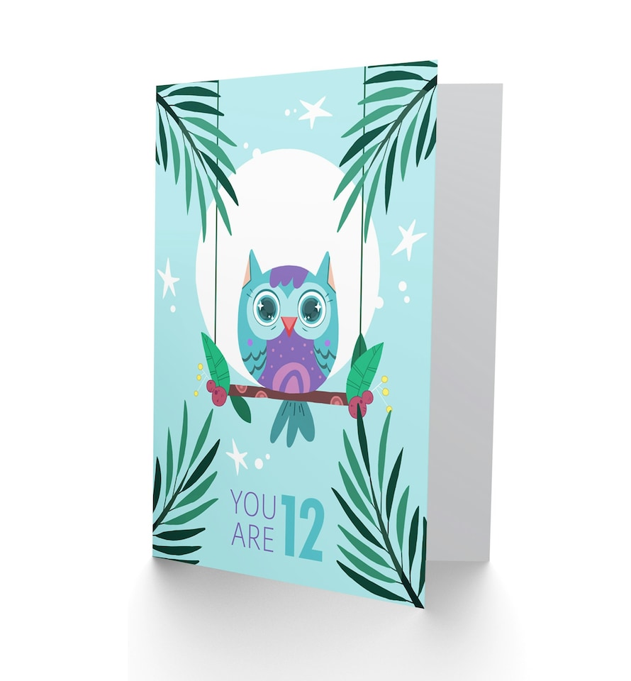 image 1 of Kawaii Owl Perch Birthday You are 12 12th Greeting Card