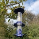image 3 of Squirrel Proof Hanging Bird Seed Feeder (Set of 2)