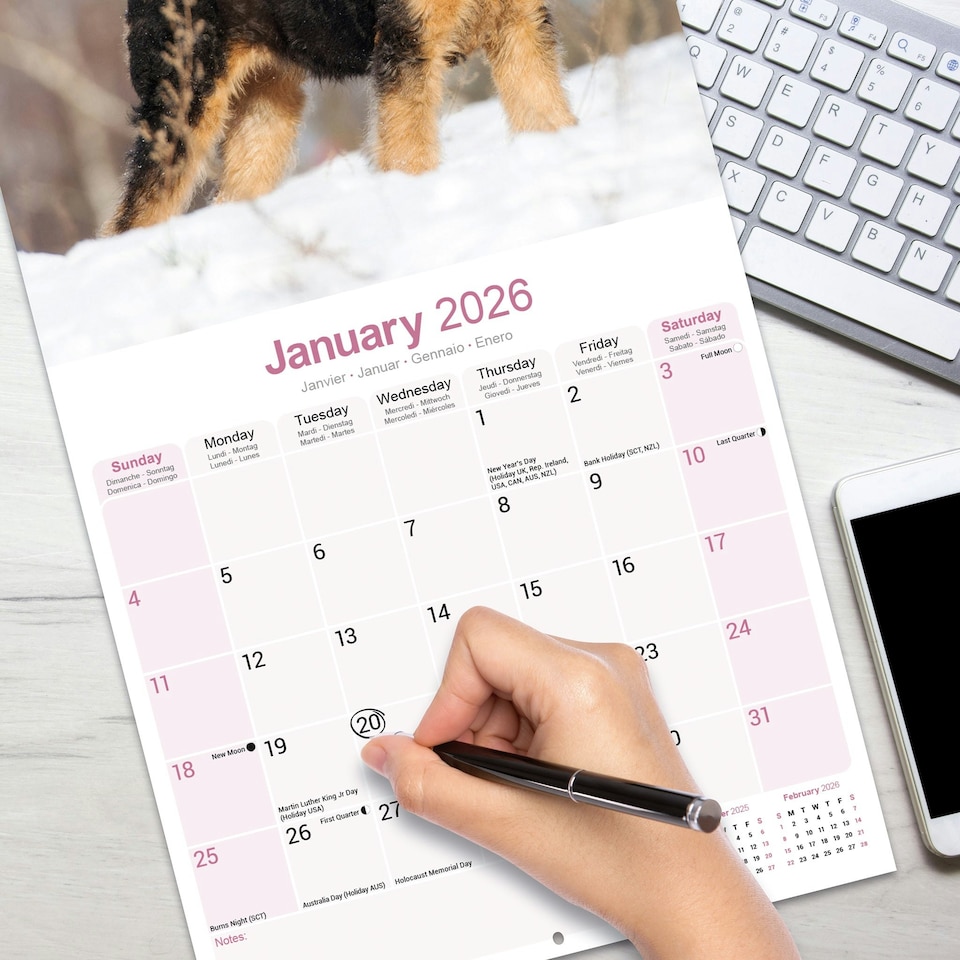 image 1 of Airedale 2026 Calendar | Square Wall Calendar | Dog Breed Gift | Plastic Free Packaging | by Avonside Publishing