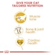 image 4 of Royal Canin Cat British Shorthair Adult 10KG