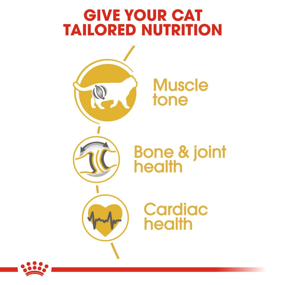 image 1 of Royal Canin Cat British Shorthair Adult 10KG