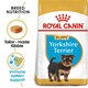 image 1 of Royal Canin Yorkshire Terrier Puppy Dry Dog Food - 1.5 kg | Multi | 1.5kg | 1