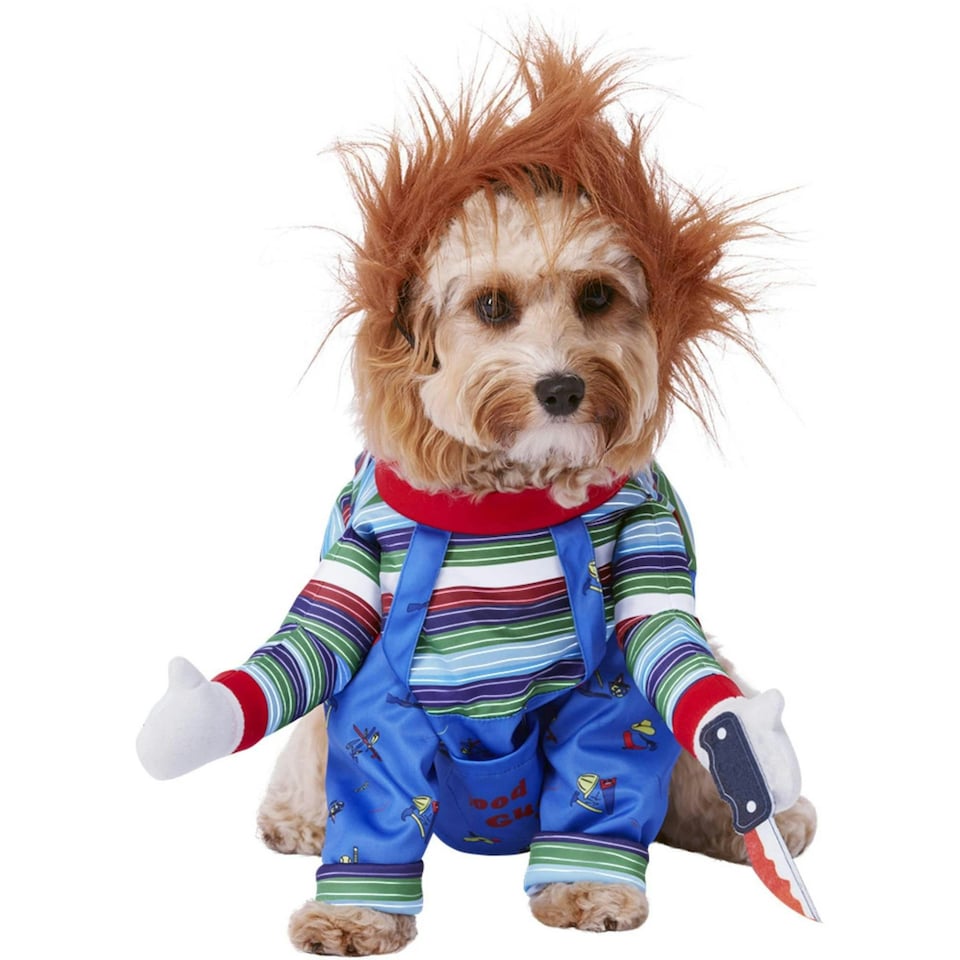 image 1 of Chucky Pet Costume Set - Multicoloured - L Multi | One Size