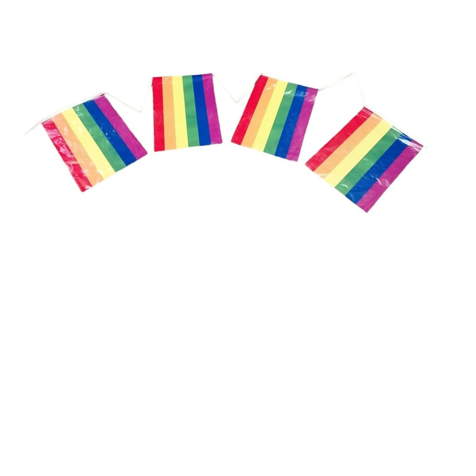 image 1 of Rainbow Pride Party Bunting Rectangle 10m with 20 Pennants