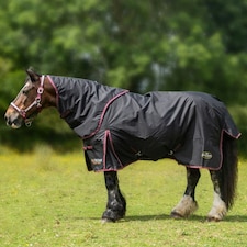 Gallop Equestrian Trojan Dual 50G Turnout Set Black | Size: 6ft 9
Colour: Black