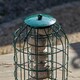image 4 of Samuel Alexander Metal Hanging Bird Fat Ball Feeder with Squirrel Guard