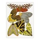 image 1 of Butterfly Illustration Vintage Wall Art Print Eugene Seguy 24x32"