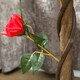 image 10 of Outsunny Set of 2 90cm Artificial Rose Tree, Fake Decorative Plant, Red
