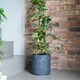 image 8 of Kew Stoneware Meadow Planter - Stoneware - L20.5 x W20.5 x H20.5 cm - Grey | Grey