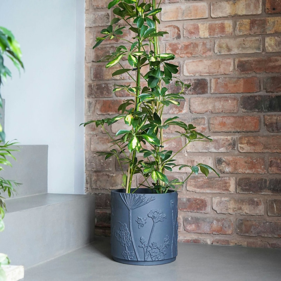 image 1 of Kew Stoneware Meadow Planter - Stoneware - L20.5 x W20.5 x H20.5 cm - Grey | Grey