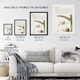 image 3 of White Lily Snail and Sweet Flag Calligraphy Framed Wall Art Print 12X16"