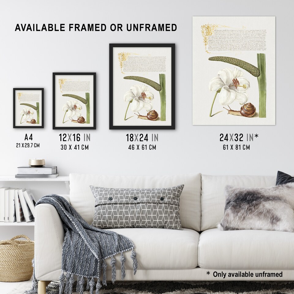 image 1 of White Lily Snail and Sweet Flag Calligraphy Framed Wall Art Print 12X16"
