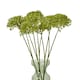 image 3 of Hill Interiors Hydrangea Artificial Flower - Green - One Size (UTHI4817)