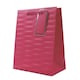 image 3 of Embossed Bright Coloured Medium Gift Bag