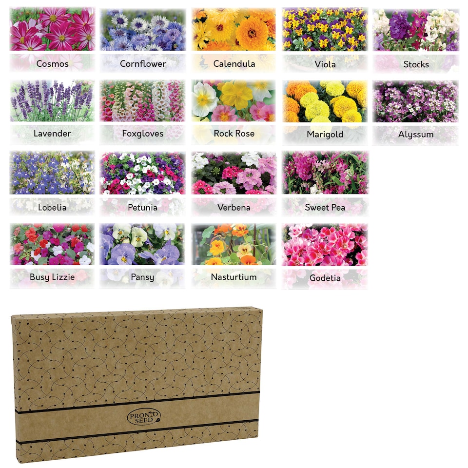 image 1 of Pronto Seed Bumper Baskets & Containers Flower Seed Variety Pack.  18 Varieties, Over 1400 Seeds