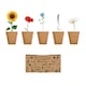 image 1 of MidOcean Flowers Flower Seeds - Beige - One Size