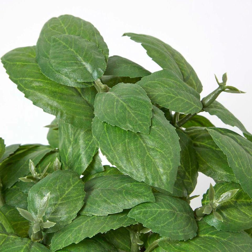 image 1 of Homescapes Artificial Basil Plant in Decorative Pot