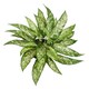 image 2 of Pack of 6 x 45cm Fire Retardant Artificial Aglaonema Bush