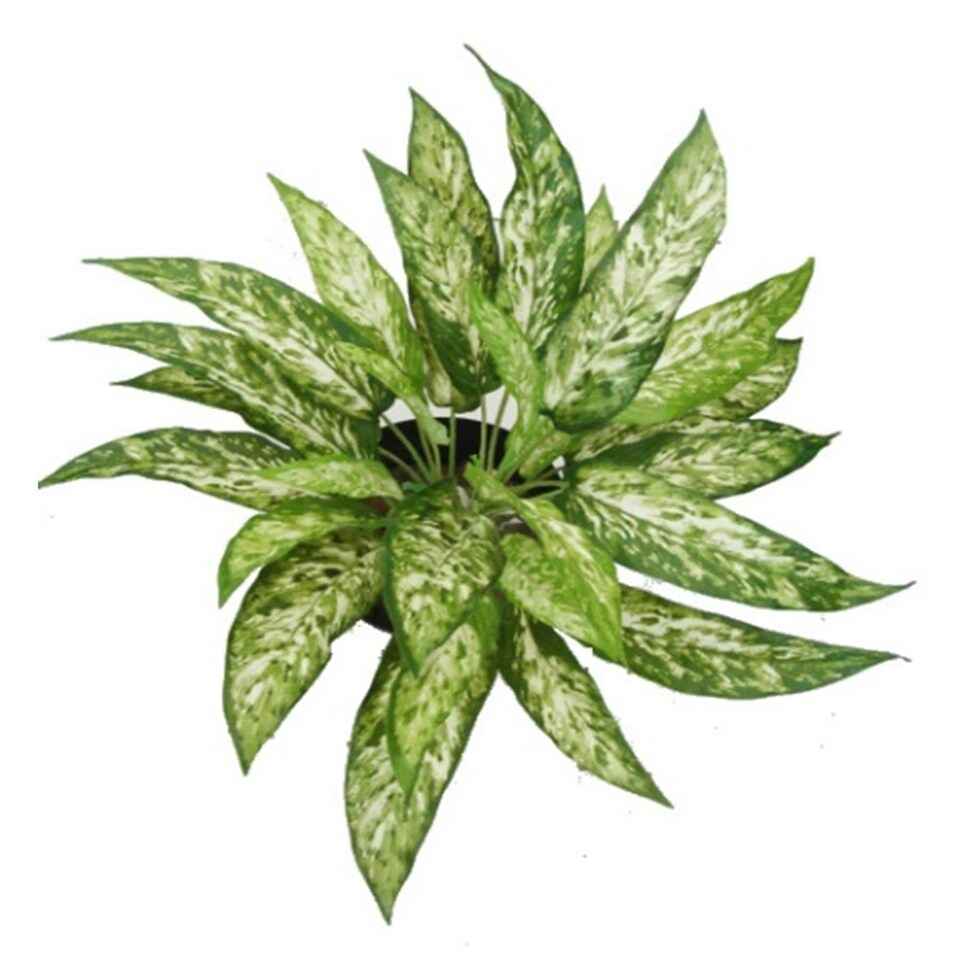 image 1 of Pack of 6 x 45cm Fire Retardant Artificial Aglaonema Bush