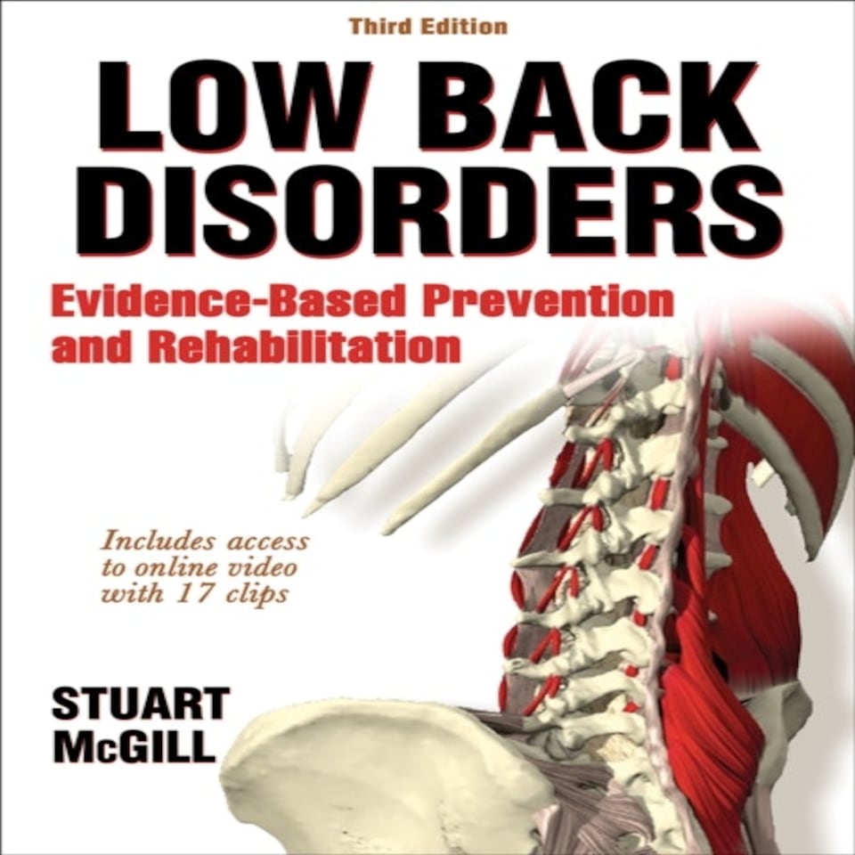 Low Back Disorders - Evidence-based Prevention And Rehabilitation