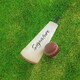 image 3 of CRICKET-GIFTS - Mini Blank Cricket Bat