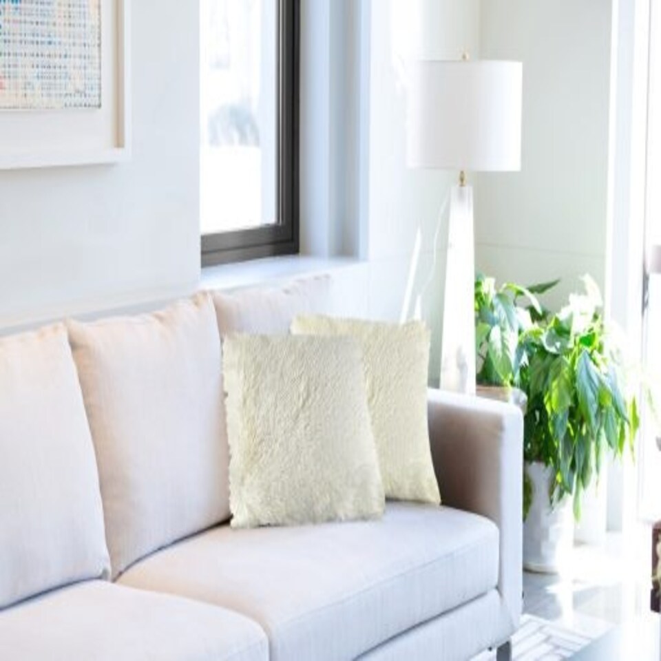 image 1 of Teddy Cushion Cover 43cm x 43cm Cream | Cream | Cream