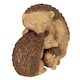 image 3 of Something Different Hedgehog Family Ornament - Brown - One Size