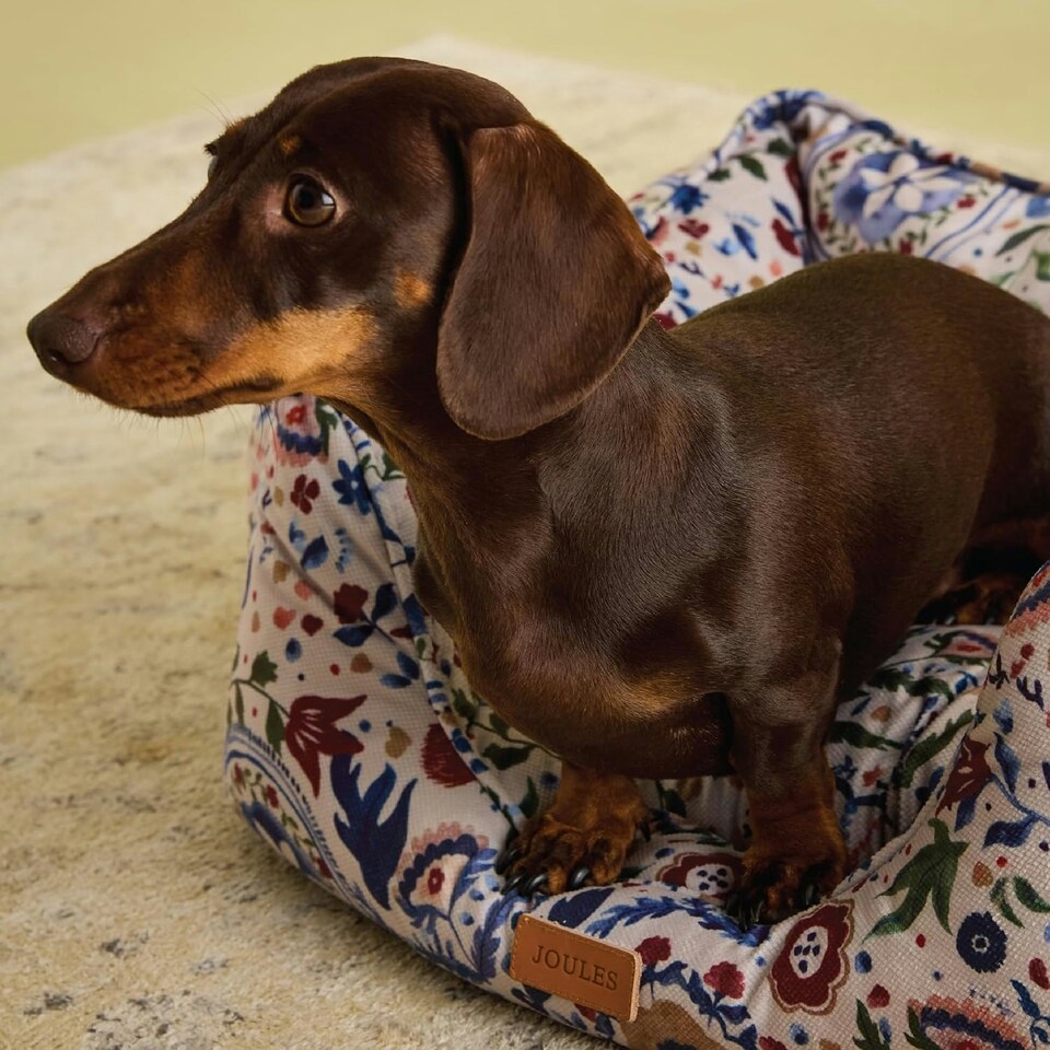 image 1 of Rosewood Joules Festival Floral Box Dog Bed | Multi | L | 1