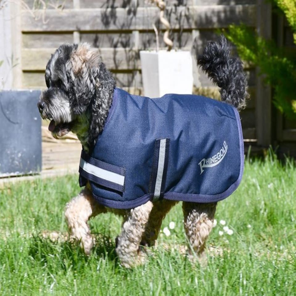 image 1 of Rhinegold Waterproof Dog Coat Blue | L