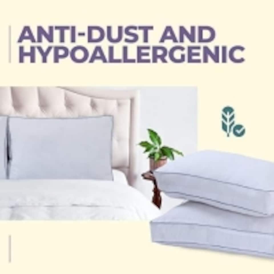 image 1 of 100% Egyptian Cotton Pillow, Side Sleeper, Bounce Back, Hypoallergenic - Pack of 2