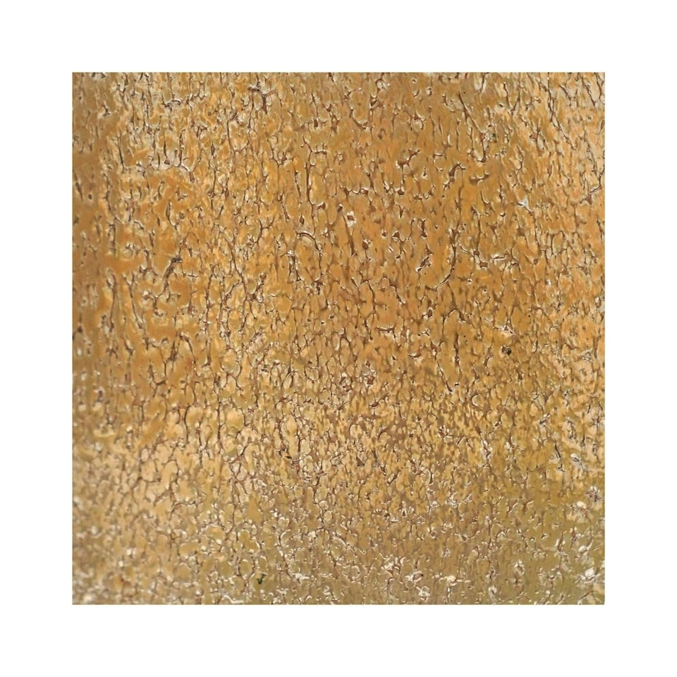 image 1 of Opulent Metallic Planter Gold