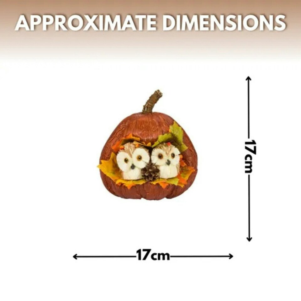 image 1 of Marco Paul Autumn Pumpkin Ornament with Owls Fall Decoration 17cm