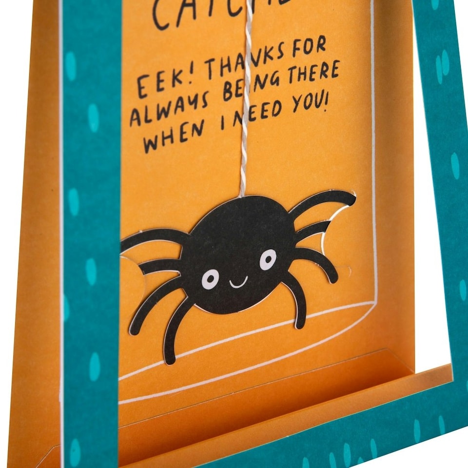 image 1 of 3D & Pop-Up Spider Catcher Design Father's Day Card