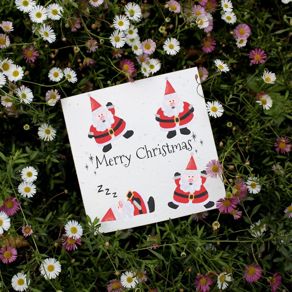image 1 of Posing Santas - Plantable Wildflower Seed Christmas Cards - 5 Pack