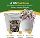 image 6 of Pronto Seed Sweet Pea Grow Your Own Kit with Decorative Bucket Planter - Little Sweetheart Mix - Ideal Gardening Gift