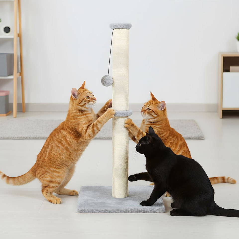 image 1 of Skylos Cat Tree Scratching Post Wooden Furniture Stand with Ball Toy