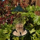 image 4 of Tom Chambers Oriental Stylish Garden Wild Bird Hanging Green Metal Mealworm Feeder
