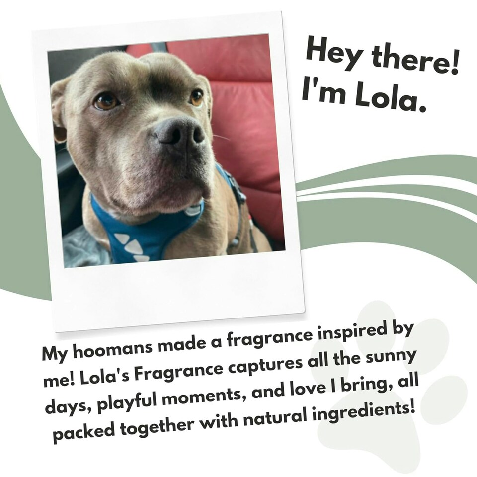 image 1 of WAGS Lola's Fragrance for Female Dogs 100ml
