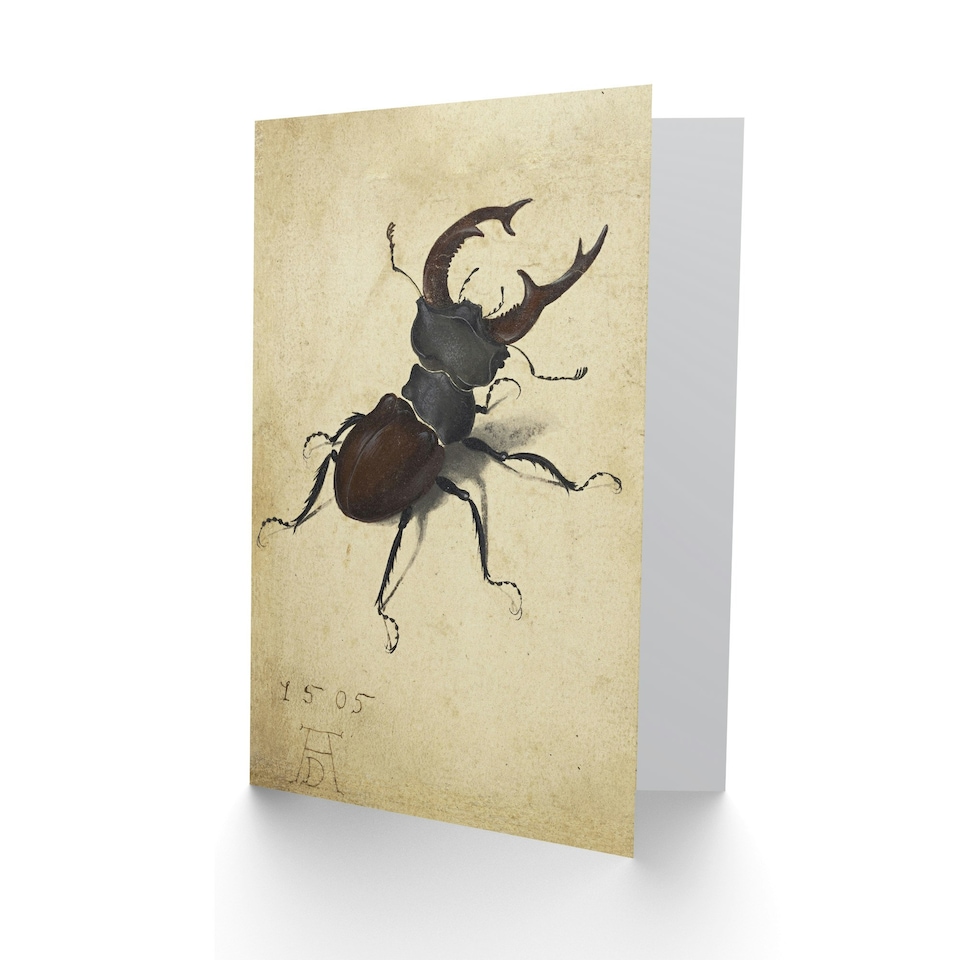 image 1 of Albrecht Durer Art Card Stag Beetle Nature Study Painting
