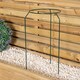 image 4 of Tom Chambers Green Metal Herbaceous Garden Plant Support Ring Small