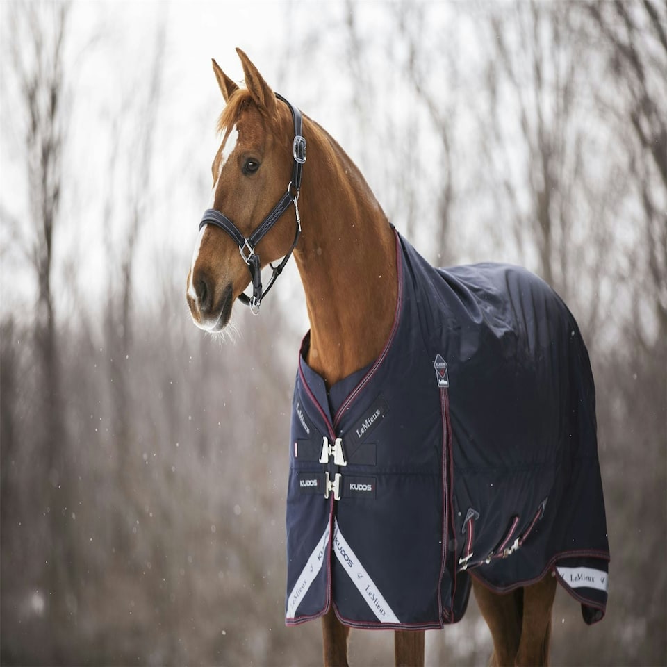 image 1 of LeMieux Kudos Turnout Rug 100g Blue | 5ft 6