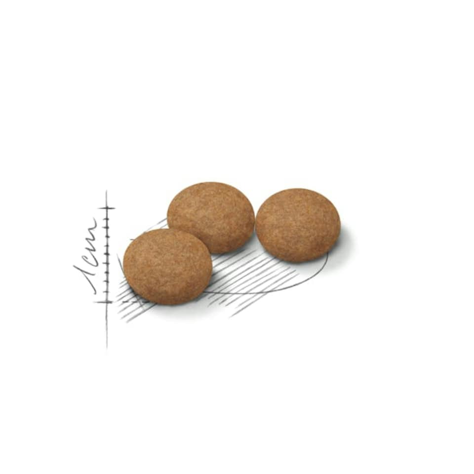 image 1 of Royal Canin Ageing Sterilised 12+ 4KG
