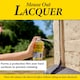 image 6 of The Big Cheese Mouse Out Lacquer 300ml Aerosol Quick Dry Rodent Repellent Protective Spray