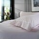 image 4 of Southport 100% Cotton Duvet Cover Set with Cuffed Finish – Soft, Breathable, Premium Quality Bedding Pink | Rose | King