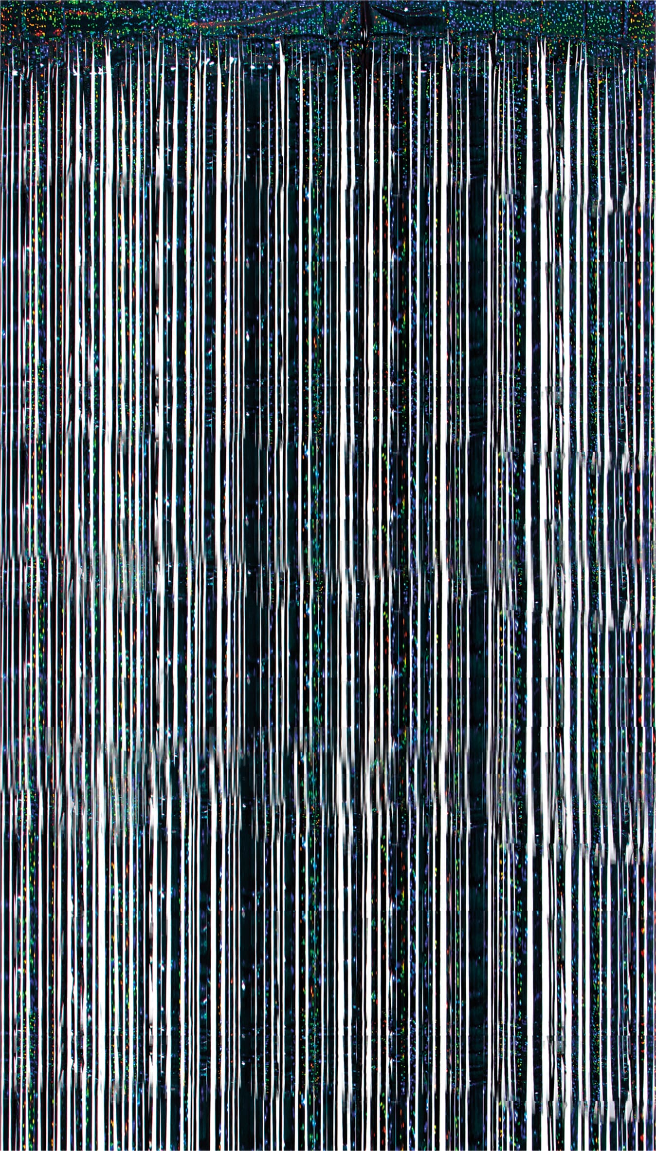 Netagon Shimmer Tinsel Curtain 3M x 1M Black