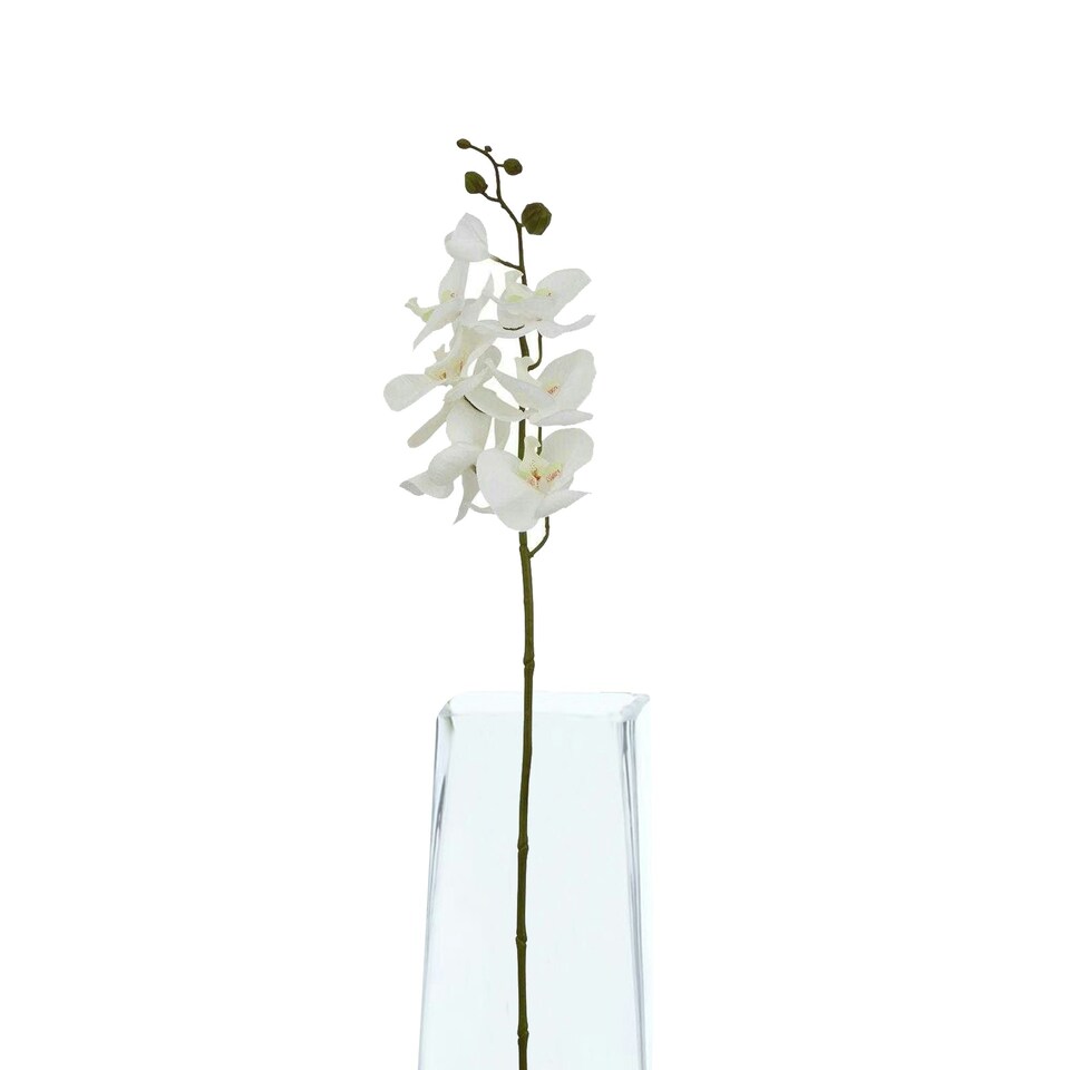 image 1 of Hill Interiors Butterfly Orchid Artificial Flower - White - 52cm x 9cm x 9cm