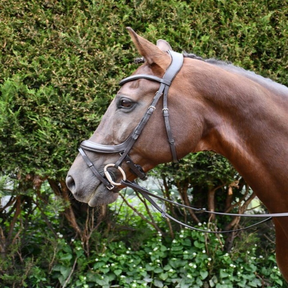 image 1 of Rhinegold Pro-Anatomic Flash Bridle Brown | Size: Full
Colour: H.Brown