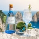 image 7 of Gin Mare Capri